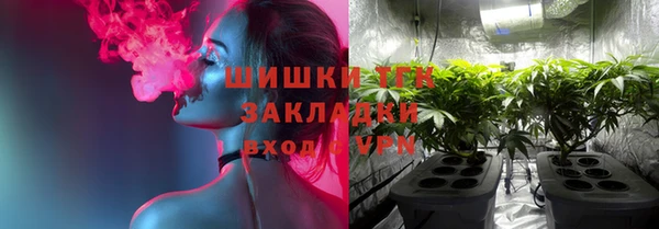 ПСИЛОЦИБИНОВЫЕ ГРИБЫ Каменка
