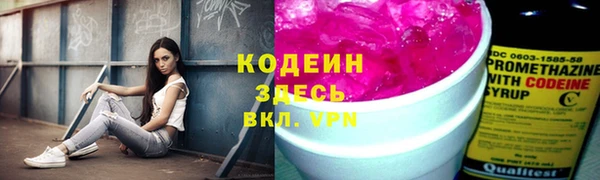 ПСИЛОЦИБИНОВЫЕ ГРИБЫ Каменка