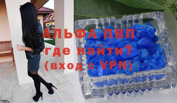 a pvp Каменногорск