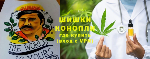 a pvp Каменногорск