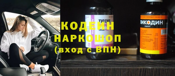 ПСИЛОЦИБИНОВЫЕ ГРИБЫ Каменка