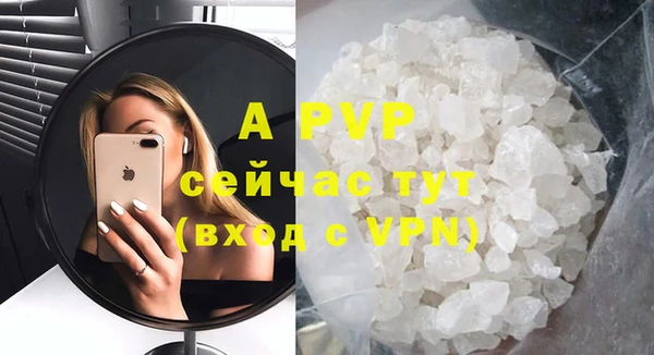 ПСИЛОЦИБИНОВЫЕ ГРИБЫ Каменка