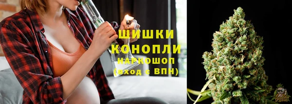 ПСИЛОЦИБИНОВЫЕ ГРИБЫ Каменка