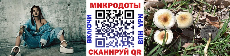 Псилоцибиновые грибы Magic Shrooms  Купить где  Нижний Тагил 